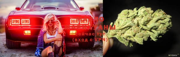 соль ск Вязьма
