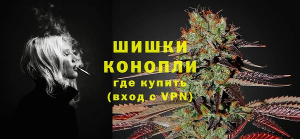 mdpv Вяземский