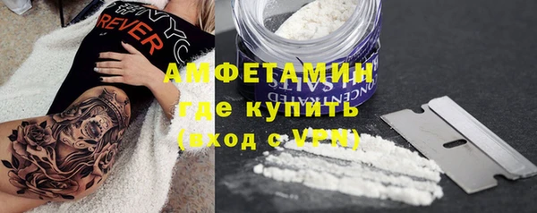 крисы Анива